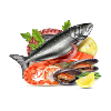 Seafood & Fish